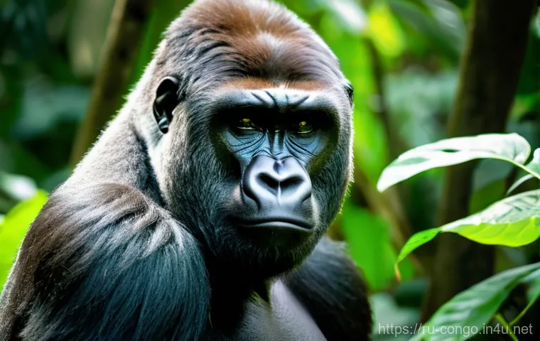 브라자빌 주요 관광 명소 - **A Vibrant Brazzaville Cityscape:** A wide-angle shot capturing the essence of Brazzaville's archit...