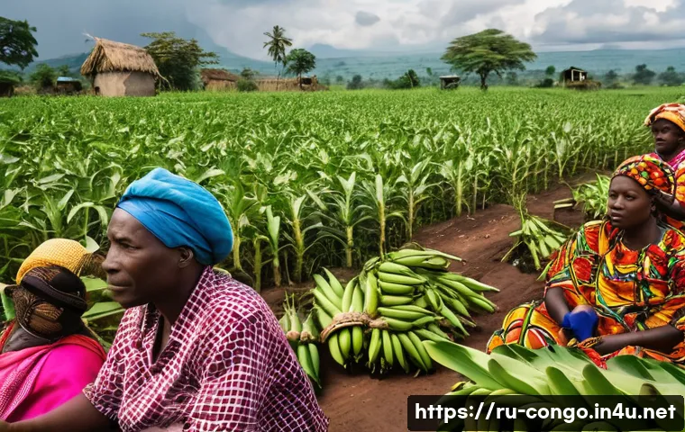 콩고 공화국 농업과 주요 작물 관련 이미지 2